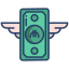 Money icon