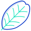 Carob Tree Leaf icon