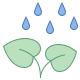 雨中的植物 icon