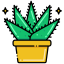 Aloe Vera icon