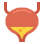 Bladder icon