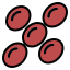 Blood Cell icon