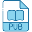 PUB icon