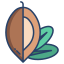 Argan icon