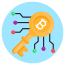 Digital Key icon