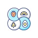 盘子 icon