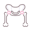 Femur icon