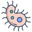 Viruses icon