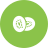 Fruit icon