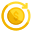 Cash Flow icon