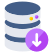 Database Download icon