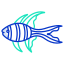 Petrapogon Kauderni Fish icon