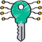 Digital Key icon