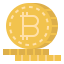 Bitcoin icon