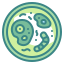 Bacteria icon