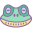 Frog Face icon