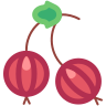 Gooseberry icon