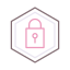 Access Control icon