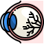 Eye Ball icon