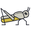 Locust icon