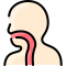 Esophagus icon