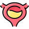 Bladder icon