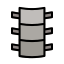 Backbone icon