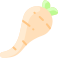 Parsnip icon