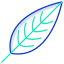 Heliconia Leaf icon