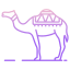 Camel icon