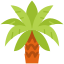 Date palm icon