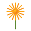 Dandelion icon