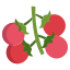 Cherry Tomato icon