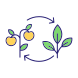 Succession Planting icon