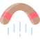 Boomerang icon