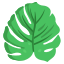 Monstera icon