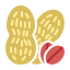 Peanut icon