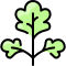 Parsley icon