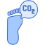 Carbon Footprint icon