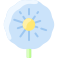 Dandelion icon