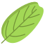 Smoke Tree Leaf icon