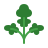 Parsley icon