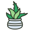 Aloe Vera icon