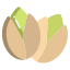 Pistachio icon