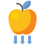 Apple icon