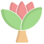 Blooming Flower icon