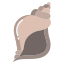 Conch Shell icon