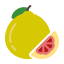 Pomelo icon