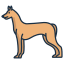 Pharaoh Hound icon