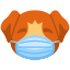 Mask icon